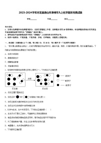 2023-2024学年河北省唐山市滦州市九上化学期末经典试题含答案