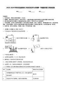 2023-2024学年河北省张家口市名校化学九年级第一学期期末复习检测试题含答案