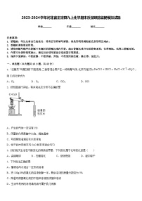 2023-2024学年河北省正定县九上化学期末质量跟踪监视模拟试题含答案