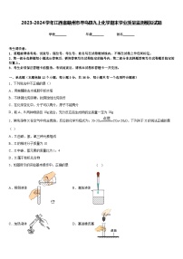 2023-2024学年江西省赣州市寻乌县九上化学期末学业质量监测模拟试题含答案