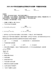 2023-2024学年河北省唐市山乐亭县化学九年级第一学期期末统考试题含答案