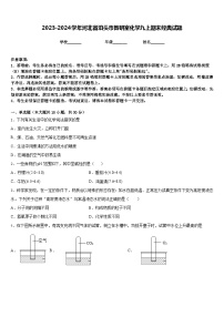 2023-2024学年河北省泊头市教研室化学九上期末经典试题含答案