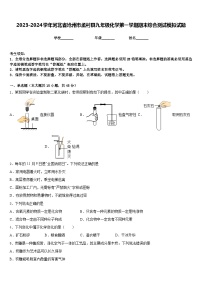 2023-2024学年河北省沧州市孟村县九年级化学第一学期期末综合测试模拟试题含答案