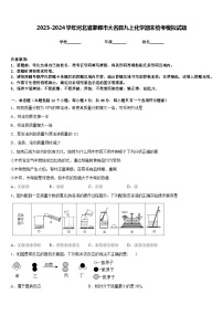 2023-2024学年河北省邯郸市大名县九上化学期末统考模拟试题含答案