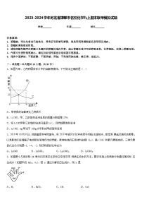 2023-2024学年河北省邯郸市名校化学九上期末联考模拟试题含答案