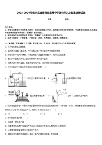 2023-2024学年河北省隆尧县北楼中学等化学九上期末调研试题含答案