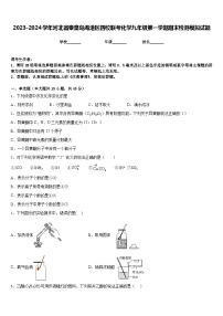 2023-2024学年河北省秦皇岛海港区四校联考化学九年级第一学期期末检测模拟试题含答案