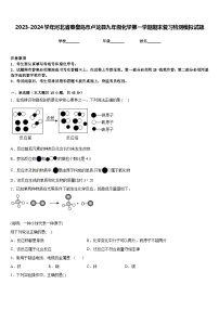 2023-2024学年河北省秦皇岛市卢龙县九年级化学第一学期期末复习检测模拟试题含答案