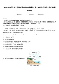 2023-2024学年河北省邢台市临城县临城镇中学化学九年级第一学期期末综合测试模拟试题含答案