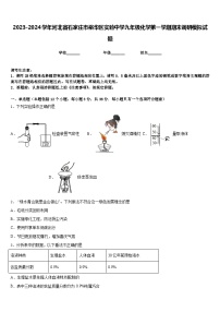 2023-2024学年河北省石家庄市裕华区实验中学九年级化学第一学期期末调研模拟试题含答案