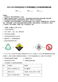 2023-2024学年河北石家庄28中学教育集团九上化学期末联考模拟试题含答案