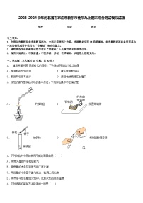 2023-2024学年河北省石家庄市新乐市化学九上期末综合测试模拟试题含答案