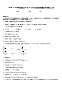 2023-2024学年河北省石家庄28中学九上化学期末复习检测模拟试题含答案