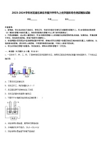 2023-2024学年河北省石家庄市复兴中学九上化学期末综合测试模拟试题含答案