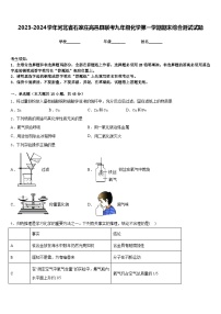 2023-2024学年河北省石家庄高邑县联考九年级化学第一学期期末综合测试试题含答案