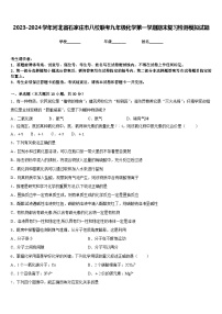 2023-2024学年河北省石家庄市八校联考九年级化学第一学期期末复习检测模拟试题含答案