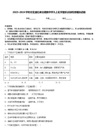 2023-2024学年河北省石家庄精英中学九上化学期末达标检测模拟试题含答案