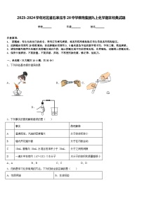 2023-2024学年河北省石家庄市28中学教育集团九上化学期末经典试题含答案