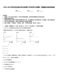 2023-2024学年河北石家庄市长安区第十中学化学九年级第一学期期末达标检测试题含答案