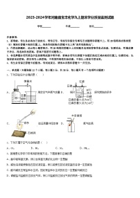 2023-2024学年河南省宝丰化学九上期末学业质量监测试题含答案