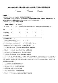 2023-2024学年河南省巩义市化学九年级第一学期期末达标检测试题含答案