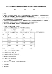 2023-2024学年河南省南阳市内乡县化学九上期末教学质量检测模拟试题含答案