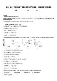 2023-2024学年河南省平顶山汝州市化学九年级第一学期期末复习检测试题含答案