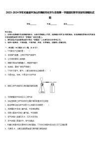 2023-2024学年河南省平顶山市舞钢市化学九年级第一学期期末教学质量检测模拟试题含答案