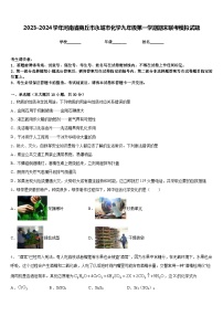 2023-2024学年河南省商丘市永城市化学九年级第一学期期末联考模拟试题含答案