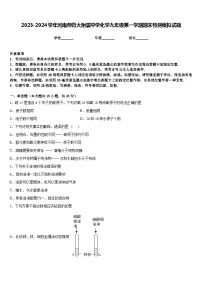 2023-2024学年河南师范大附属中学化学九年级第一学期期末检测模拟试题含答案