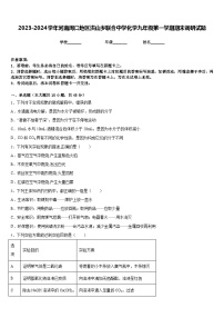 2023-2024学年河南周口地区洪山乡联合中学化学九年级第一学期期末调研试题含答案