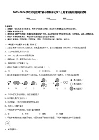 2023-2024学年河南省周口商水县联考化学九上期末达标检测模拟试题含答案