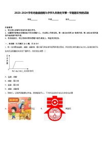 2023-2024学年河南省信阳九中学九年级化学第一学期期末预测试题含答案