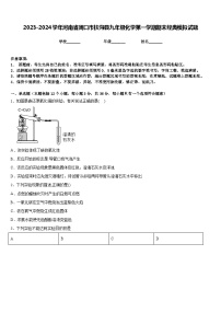 2023-2024学年河南省周口市扶沟县九年级化学第一学期期末经典模拟试题含答案