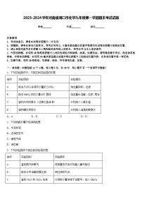 2023-2024学年河南省周口市化学九年级第一学期期末考试试题含答案