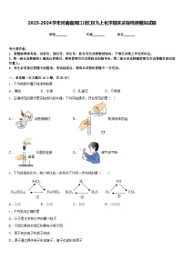 2023-2024学年河南省周口川汇区九上化学期末达标检测模拟试题含答案