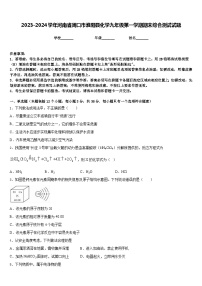 2023-2024学年河南省周口市淮阳县化学九年级第一学期期末综合测试试题含答案