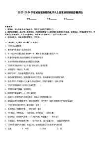 2023-2024学年河南省原阳县化学九上期末质量跟踪监视试题含答案