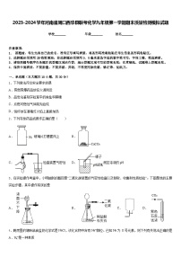 2023-2024学年河南省周口西华县联考化学九年级第一学期期末质量检测模拟试题含答案