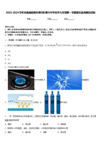 2023-2024学年河南省信阳市浉河区第九中学化学九年级第一学期期末监测模拟试题含答案