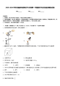 2023-2024学年河南省柘城县化学九年级第一学期期末学业质量监测模拟试题含答案