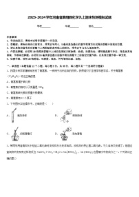 2023-2024学年河南省淮阳县化学九上期末检测模拟试题含答案