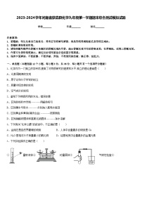 2023-2024学年河南省获嘉县化学九年级第一学期期末综合测试模拟试题含答案