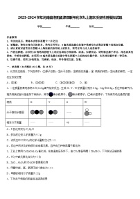 2023-2024学年河南省洛阳孟津县联考化学九上期末质量检测模拟试题含答案