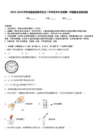 2023-2024学年河南省洛阳市东方二中学化学九年级第一学期期末监测试题含答案