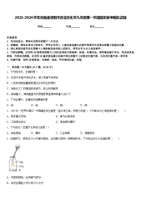 2023-2024学年河南省洛阳市洛龙区化学九年级第一学期期末联考模拟试题含答案