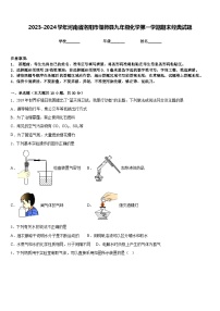 2023-2024学年河南省洛阳市偃师县九年级化学第一学期期末经典试题含答案