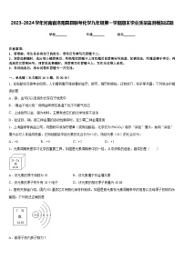 2023-2024学年河南省洛阳嵩县联考化学九年级第一学期期末学业质量监测模拟试题含答案