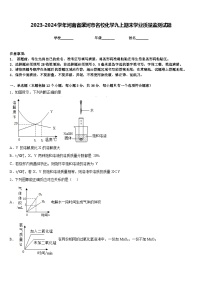 2023-2024学年河南省漯河市名校化学九上期末学业质量监测试题含答案