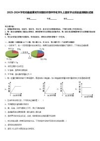 2023-2024学年河南省漯河市召陵区许慎中学化学九上期末学业质量监测模拟试题含答案